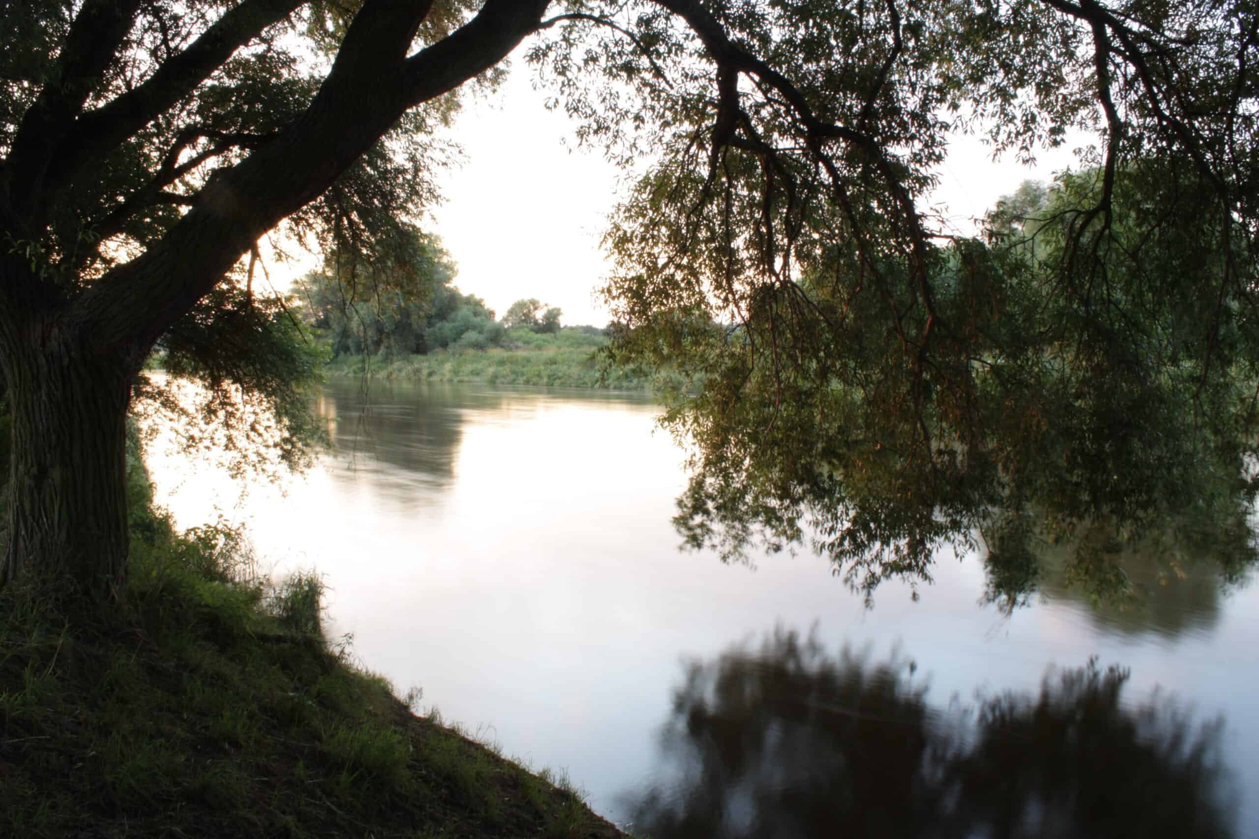 Sommerkino mit Picknickdecke auf dem Campingplatz Löbnitz 2025